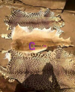 Awo Eranko (Animal Skin) Differently