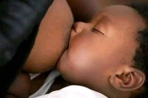 Okanran Meji: Omu the Breasts 1 okanran-meji:-omu-the-breasts
