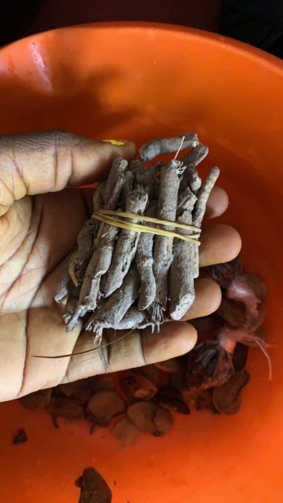 Simple and Effective Recipe of Agbo Jedi Jedi 1 simple-and-effective-recipe-of-agbo-jedi-jedi
