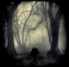 the-dark-phase-of-life