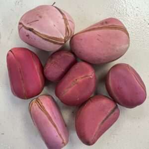 Nuts & Seeds | Obi | Obi Kola | Pink Kola Nut | Cola nitida