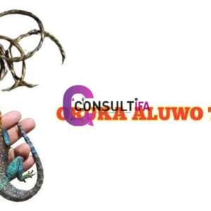 Aluwo/Agbawo: Empower Your Fists with Knockout Power