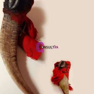 ASE : Olugbohun