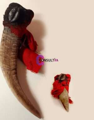 ASE : Olugbohun