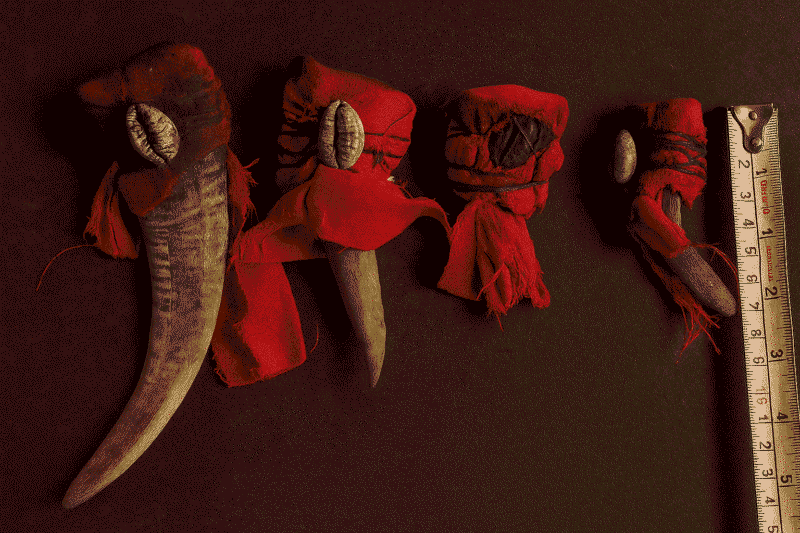 Ase Power Amplification Horn (Olugbohun) – The Ancient Yoruba Tool for Prayer, Ritual & Spiritual Power