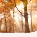 rituals-for-the-fall-equinox