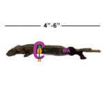 Eku Ifa – Dried Ritual Rat for Yoruba, Santeria & Candomblé Offerings