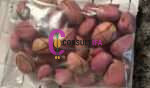 Obi Abata (Kola Nut) – Sacred Ifa & Orisha Divination Nut