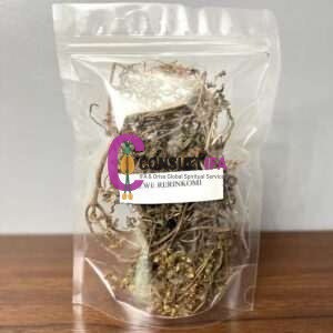 Ewe Rerinkomi (Ageratum Conyzoides) – Yoruba Sacred Herb Ewe Imi Esu