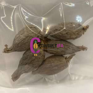 Alligator Pepper Pods (Atare / Atakou / Grains of Paradise) – Authentic African Spice