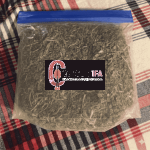 Ewe Rinrin (Peperomia pellucida) Dry Leaves – Herbal Healing & Spiritual Cleansing