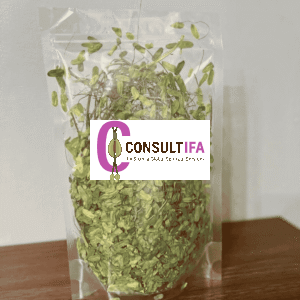 Buy Ewe Omisinmisin Leaves – Yoruba Ifá Sacred Herb for Cleansing and Spiritual Work